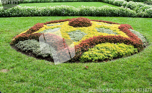 Image of Abstract Shape Created With Plants in Ornamental Garden