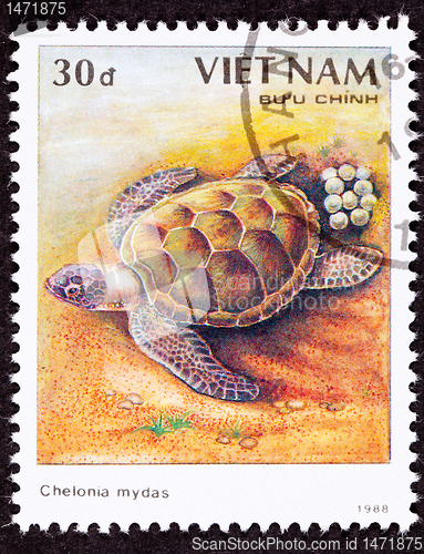 Image of Canceled Vietnamese Postage Stamp Egg Laying Green Turtle Chelon