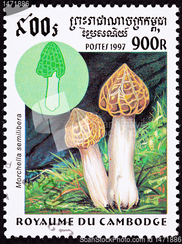 Image of Canceled Cambodian Postage Stamp Clump Morel Mushroom, Morchella