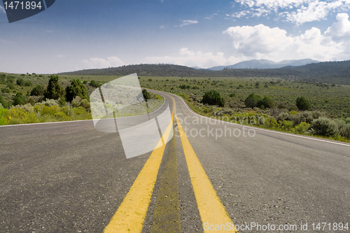 Image of Middle of the Road Curve, High Desert, New Mexico