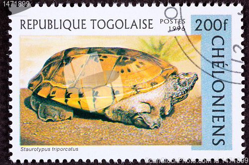 Image of Canceled Togan Postage Stamp Orange Mexican Musk Turtle, Staurot