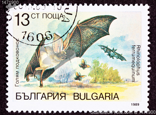 Image of Bulgarian Postage Stamp Flying Horseshoe Bat Rhinolophus Ferrume