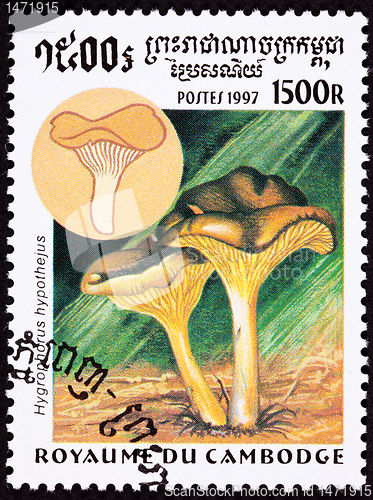 Image of Canceled Cambodian Postage Stamp Herald of Winter Mushroom, Hygr