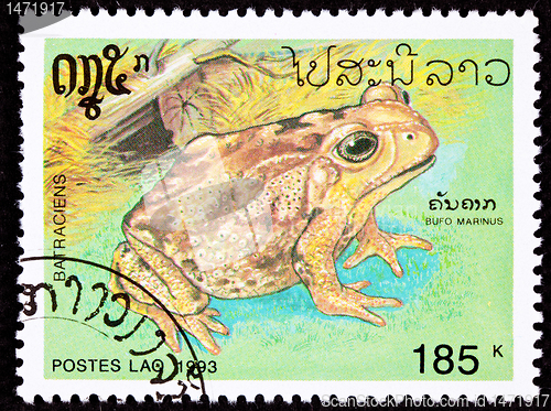 Image of Canceled Laotian Postage Stamp Marine Cane Toad Bufo Marinus