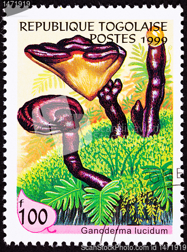 Image of Canceled Togo Postage Stamp Lingzhi Chinese Medicinal Mushroom G