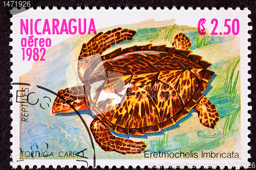 Image of Canceled Nicaraguan Postage Stamp Hawksbill Sea Turtle Eretmoche