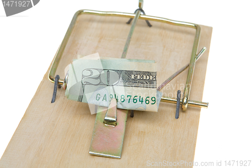 Image of Folded $20 Twenty Dollar Bill Mousetrap Isolated