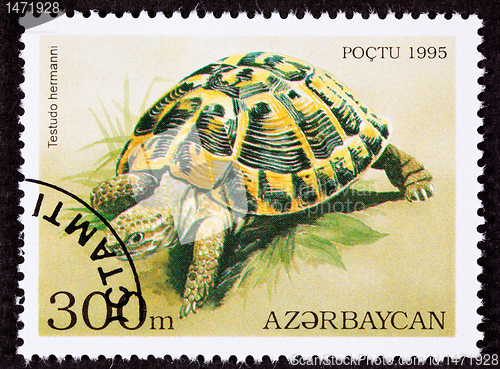 Image of Canceled Azerbaijan Postage Stamp Yellow Hermann's Tortoise Test