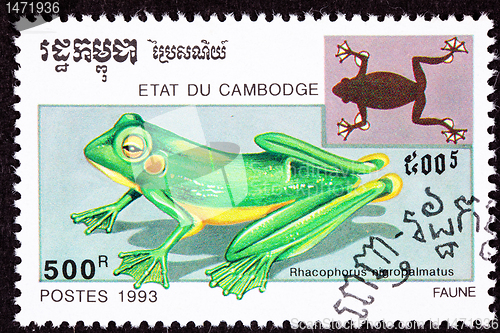 Image of Cambodian Postage Stamp Wallace's Flying Frog, Rhacophorus Nigro
