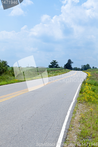 Image of Vertical Curvy Country Road Soybean Field on Left
