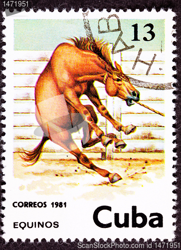 Image of Canceled Cuban Postage Stamp Wild Horse Leaping Corral Lasso Nec