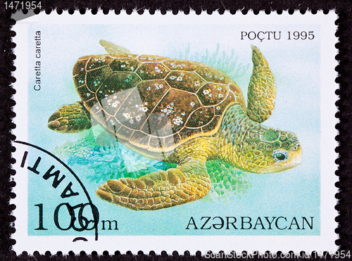 Image of Canceled Azerbaijan Postage Stamp Swimming Loggerhead Sea Turtle