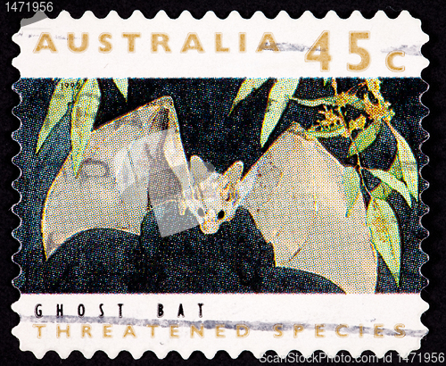 Image of Canceled Australian Postage Stamp Ghost Bat, Macroderma gigas, F