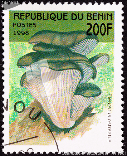 Image of Canceled Benin Postage Stamp Oyster Mushroom, Pleurotus Ostreatu