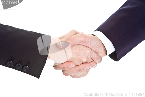 Image of Male Female Hands Shaking Handshake Isolated on White Background