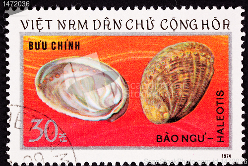Image of Vietnamese Postage Stamp Empty Abalone Shells Haliotis Mother of