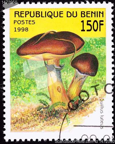 Image of Canceled Benin Postage Stamp Clump Slippery Jack Mushrooms, Suil