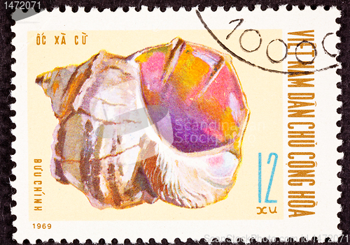 Image of North Vietnamese Postage Stamp Conch Shell