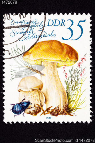 Image of Canceled East German Postage Stamp Porcini Mushroom, Boletus Edu