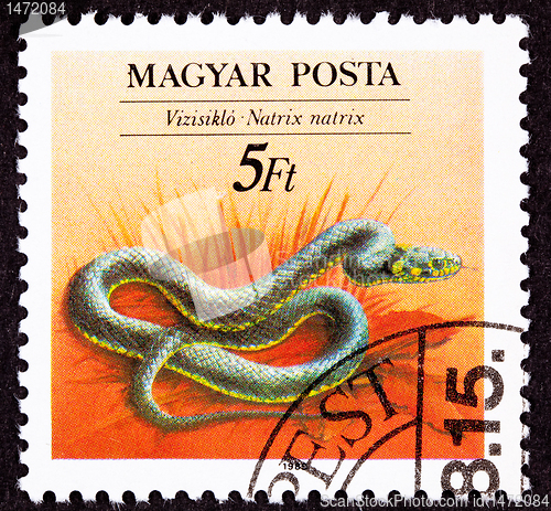 Image of Canceled Hungarian Postage Stamp Grass Snake Natrix Natrix- Ring