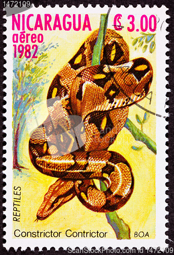 Image of Canceled Nicaraguan Postage Stamp Coiled Snake Red Tailed Boa Co