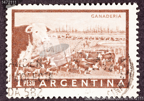 Image of Canceled Argentinean Postage Stamp Heard of Beef Cattle Argentin