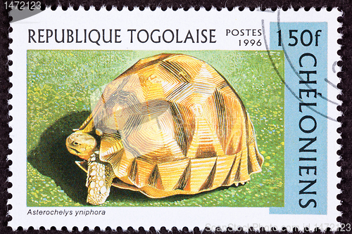 Image of Canceled Togan Postage Stamp Angonoka, Ploughshare, Madagascar T