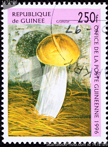 Image of Canceled Guinea Postage Stamp Granular Mushroom