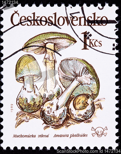 Image of Canceled Czechoslovakian Postage Stamp Poisonous Death Cap Mushr