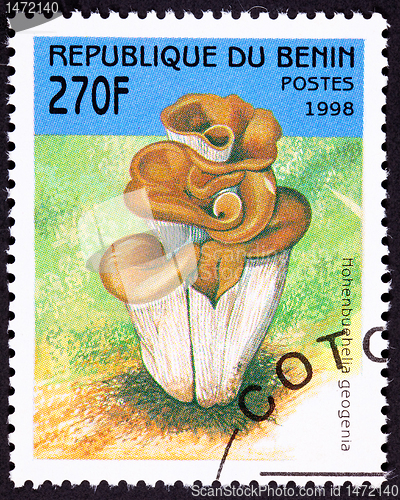 Image of Canceled Benin Postage Stamp Clump Mushroom Hohenbuehelia Geogen