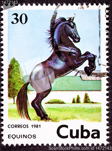 Image of Canceled Cuban Postage Stamp Black Horse Rearing Up in Field