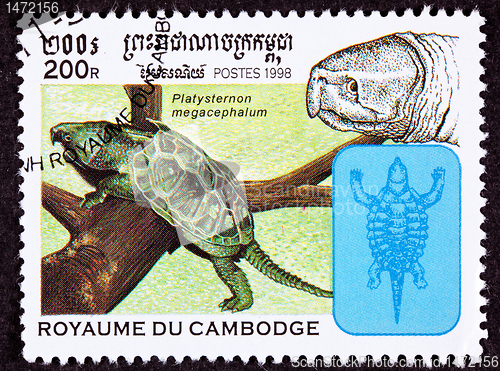Image of Canceled Cambodian Postage Stamp Big-headed Turtle, Platysternon