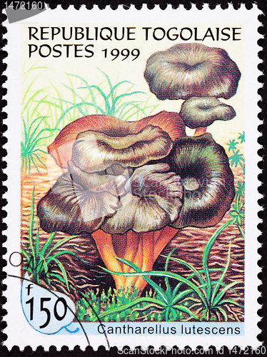 Image of Canceled Togo Postage Stamp Clump Yellow Foot Mushroom, Canthare