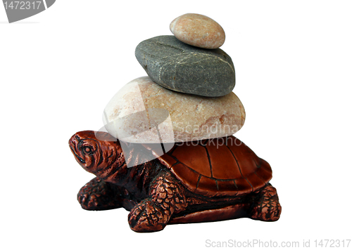 Image of turtle carrying stones