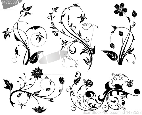 Image of Big Set Flower