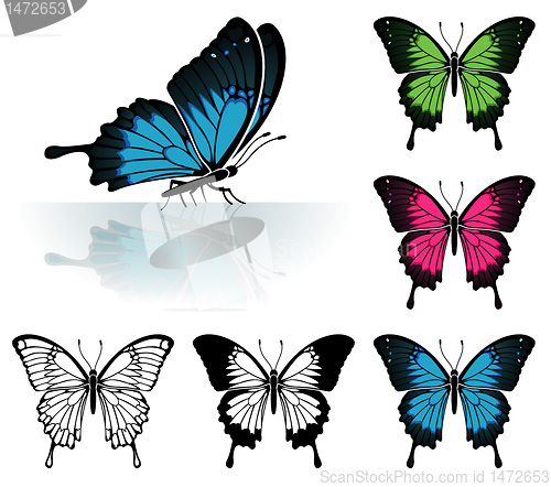 Image of Set Butterflies