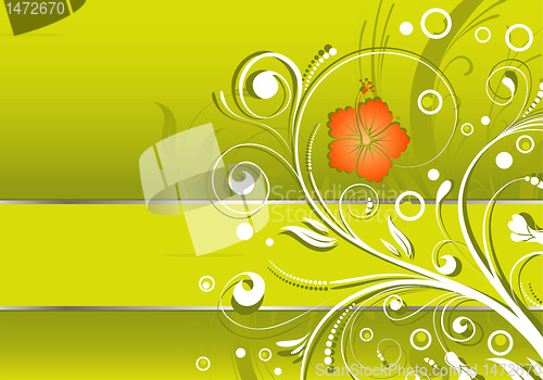 Image of Floral frame
