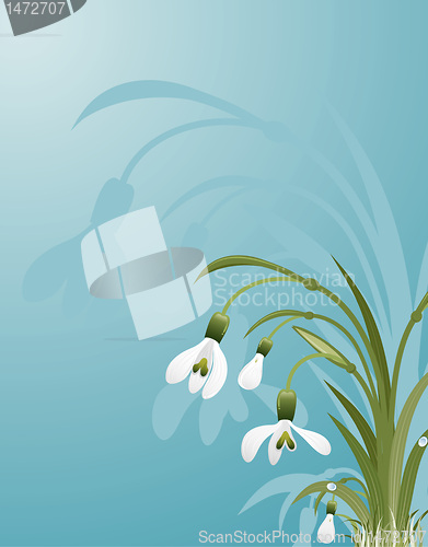 Image of Flower background