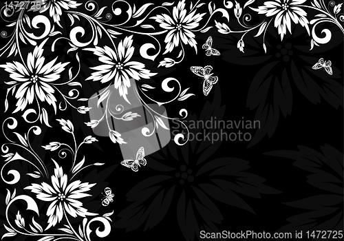 Image of Floral background