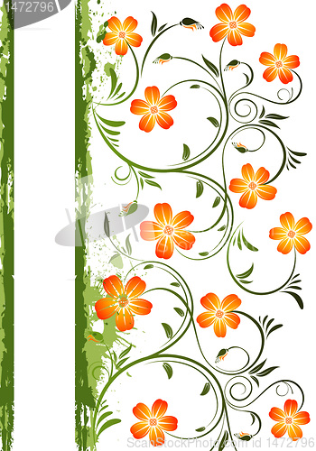 Image of Grunge Floral Frame