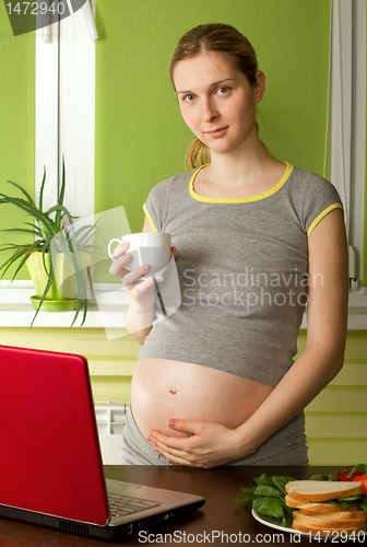 Image of tender pregnant female with laptop