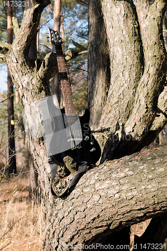 Image of guitar on the tree