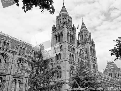 Image of Natural History Museum, London, UK