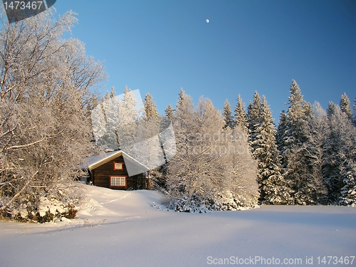 Image of Winter landscape