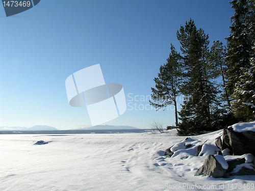 Image of Winter landscape 