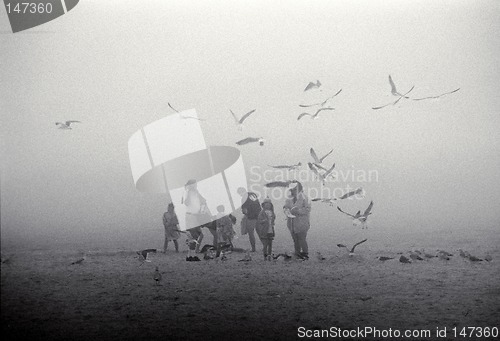 Image of Family on foggy beach with seagulls