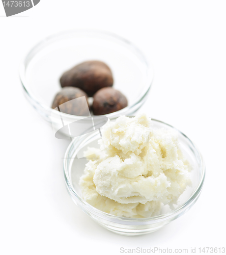 Image of Shea butter and nuts in bowls