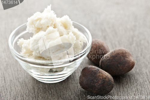 Image of Shea butter and nuts in bowl