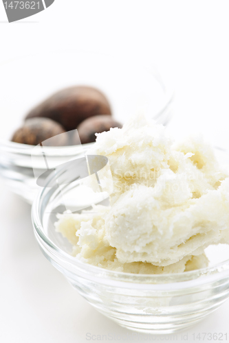 Image of Shea butter and nuts in bowls