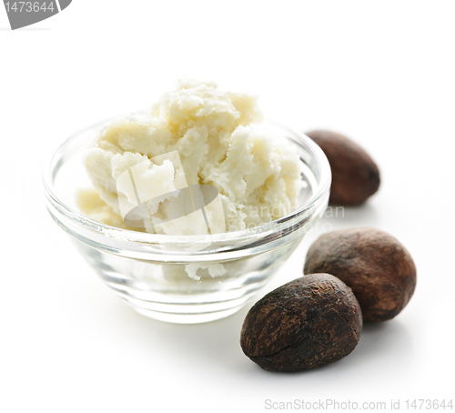 Image of Shea butter and nuts in bowl